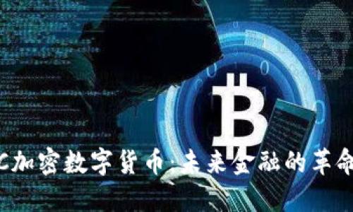 VIC加密数字货币:未来金融的革命者
