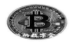 加密货币体育馆:新兴的数字金融与体育结合的