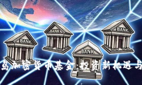 维尔京群岛加密货币基金:投资新机遇与监管挑战