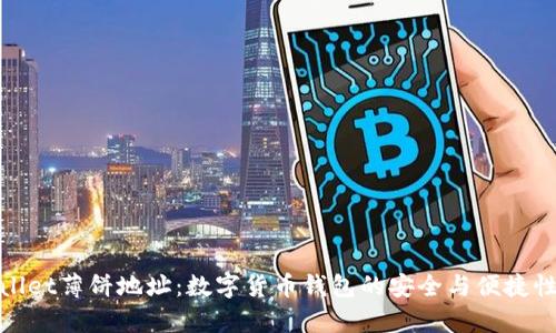 tpWallet薄饼地址:数字货币钱包的安全与便捷性探讨