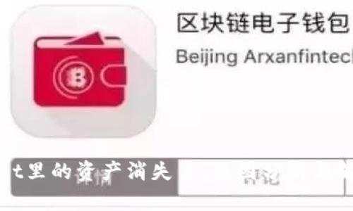 tpWallet里的资产消失了:原因分析与解决方案