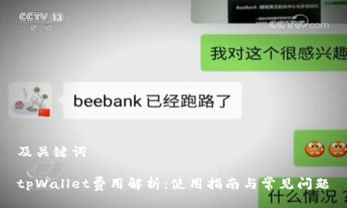 及关键词
tpWallet费用解析:使用指南与常见问题