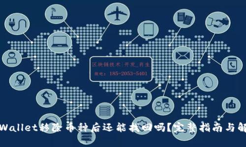 tpWallet移除币种后还能找回吗?完整指南与解答
