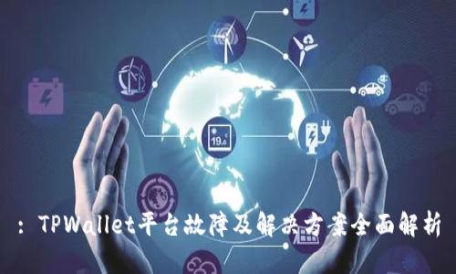 : TPWallet平台故障及解决方案全面解析