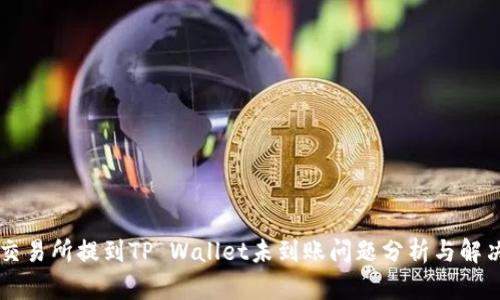 币安交易所提到TP Wallet未到账问题分析与解决方案