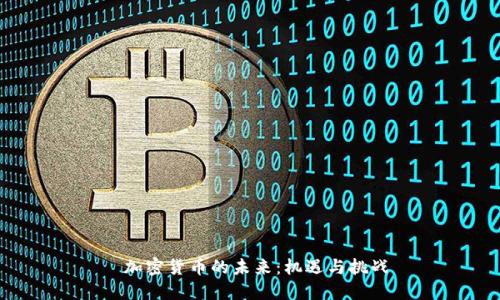 加密货币的未来:机遇与挑战