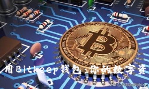 如何下载和使用Bitkeep钱包:你的数字资产安全保护器