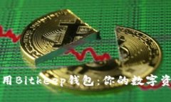 如何下载和使用Bitkeep钱包:你的数字资产安全保