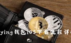 Bying钱包iOS下载流程详解