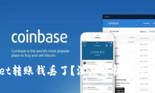 : tpWallet转账钱丢了?深度解析原因及解决方案