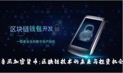 鲁亚加密货币:区块链技术的未来与投资机会