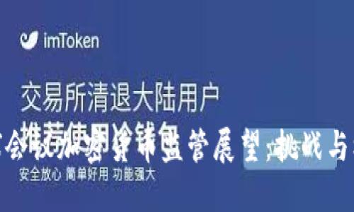 全球会议加密货币监管展望：挑战与机遇