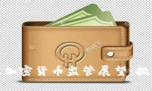全球会议加密货币监管展望：挑战与机遇