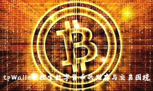 tpWallet:探索数字货币的储存与交易困境
