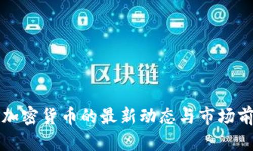 泰迪狗加密货币的最新动态与市场前景分析