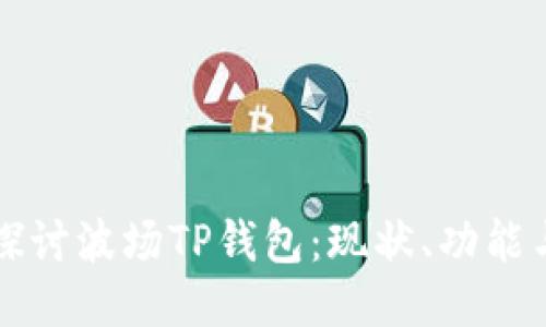 深入探讨波场TP钱包:现状、功能与未来