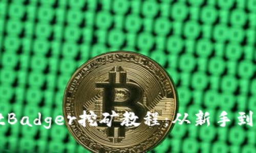 全面解析tpWalletBadger挖矿教程:从新手到高手的全方位指南