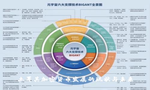 土耳其加密货币发展的现状与未来