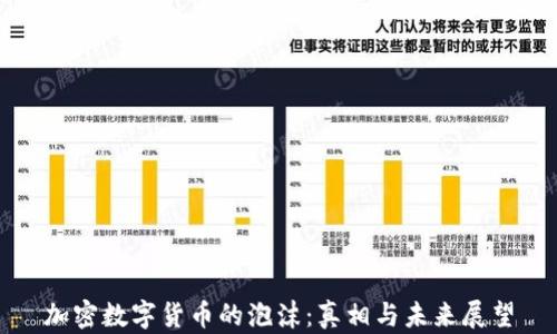 加密数字货币的泡沫:真相与未来展望