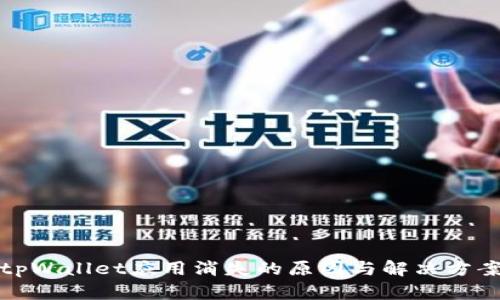 tpWallet应用消失的原因与解决方案