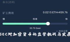 SEC对加密货币的监管挑战与发展