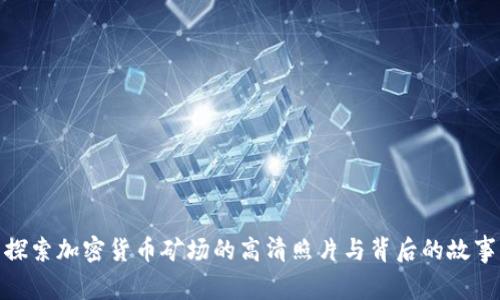 探索加密货币矿场的高清照片与背后的故事