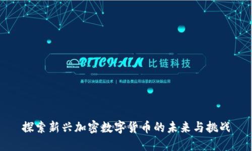 探索新兴加密数字货币的未来与挑战