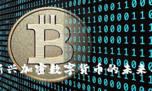 探索新兴加密数字货币的未来与挑战