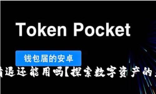 tpWallet清退还能用吗?探索数字资产的未来与风险