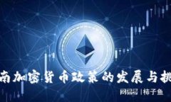 越南加密货币政策的发展与挑战
