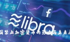 中国禁止加密货币的影响与未来展望