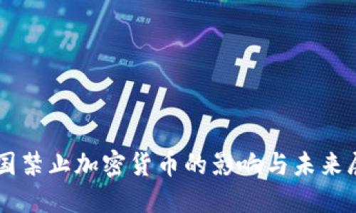 中国禁止加密货币的影响与未来展望