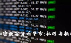 加密数字货币牛市:机遇与挑战