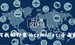 如何找回卸载的tpWallet:全面指南