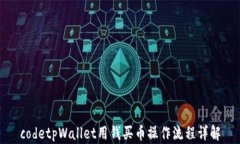 codetpWallet用钱买币操作流程详解