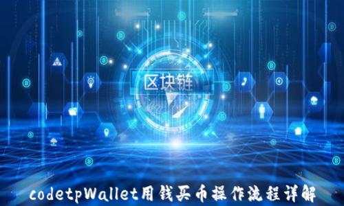 codetpWallet用钱买币操作流程详解