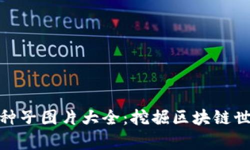加密货币种子图片大全:挖掘区块链世界的奥秘