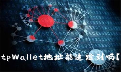 tpWallet地址能追踪到吗?