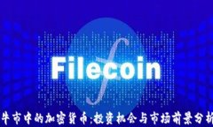 牛市中的加密货币:投资机会与市场前景分析