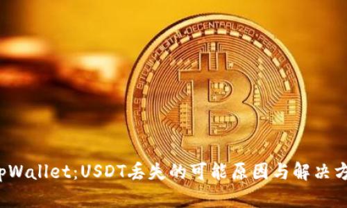 tpWallet:USDT丢失的可能原因与解决方案