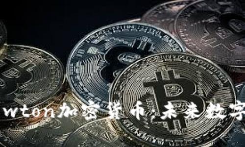 深入解析Newton加密货币：未来数字经济的崛起