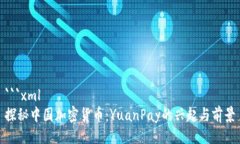 ```xml探秘中国加密货币:YuanPay的兴起与前景