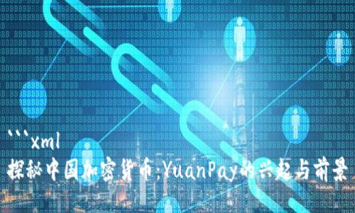 ```xml
探秘中国加密货币:YuanPay的兴起与前景