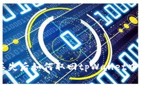 手机丢失后如何取回tpWallet中的资产