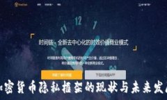   加密货币隐私框架的现状与未来发展