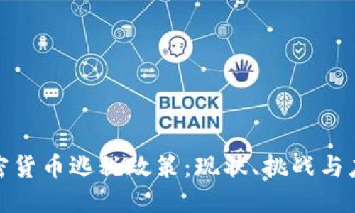 加密货币逃税政策:现状、挑战与应对