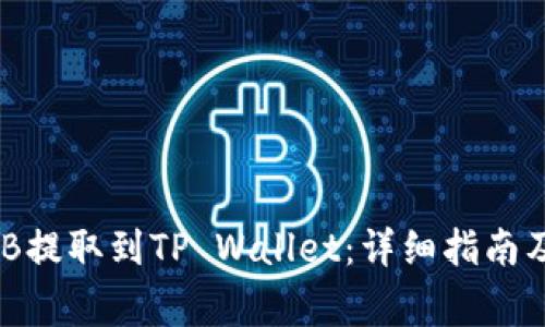 如何将BNB提取到TP Wallet:详细指南及注意事项