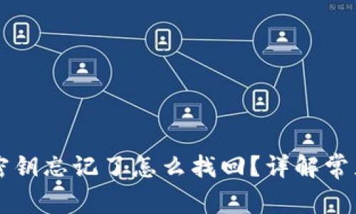 tpWallet密钥忘记了怎么找回?详解常见解决方案