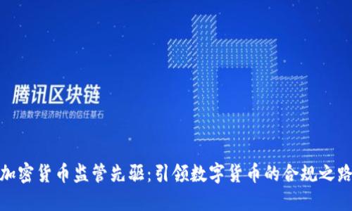 加密货币监管先驱:引领数字货币的合规之路