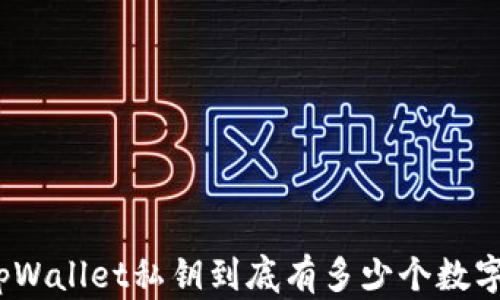 tpWallet私钥到底有多少个数字?